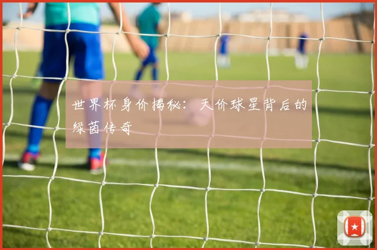 世界杯身价揭秘：天价球星背后的绿茵传奇